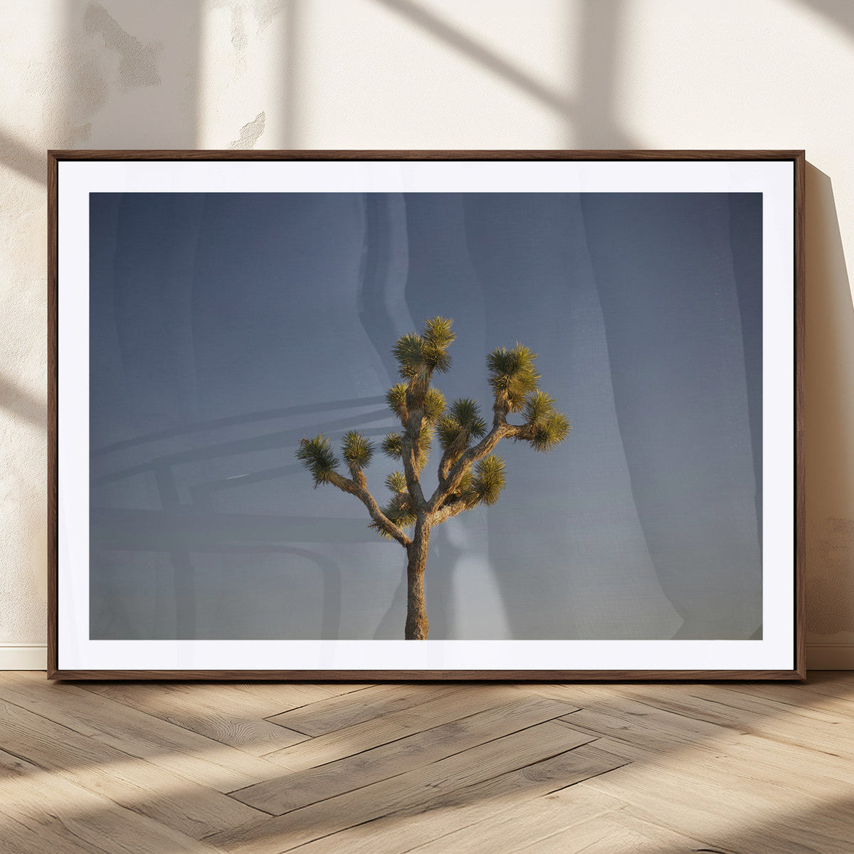 Joshua Tree Wall Art Canvas Print – Framed Southwestern
