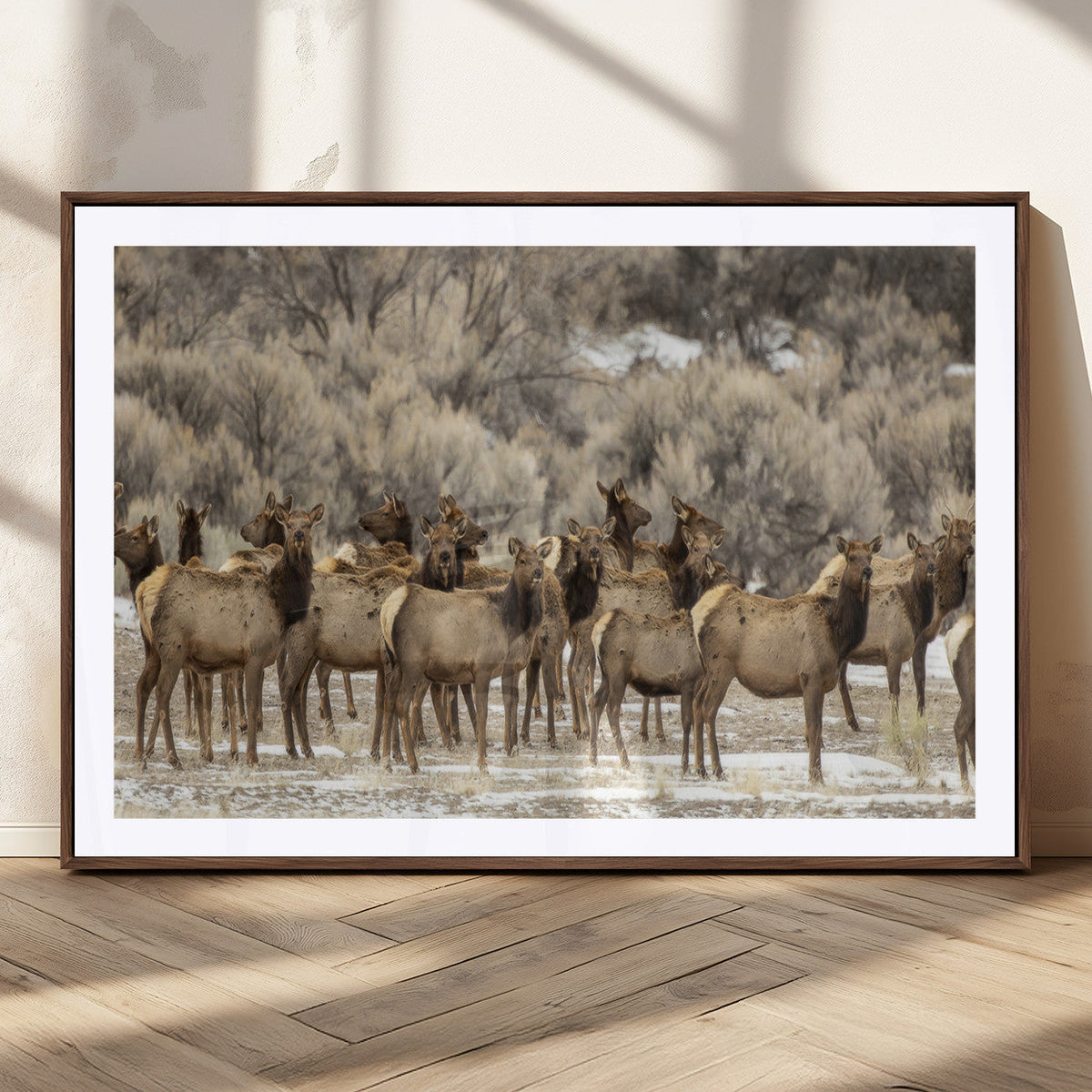 Majestic Elk Herd Winter Canvas, Elk Herd Winter Landscape