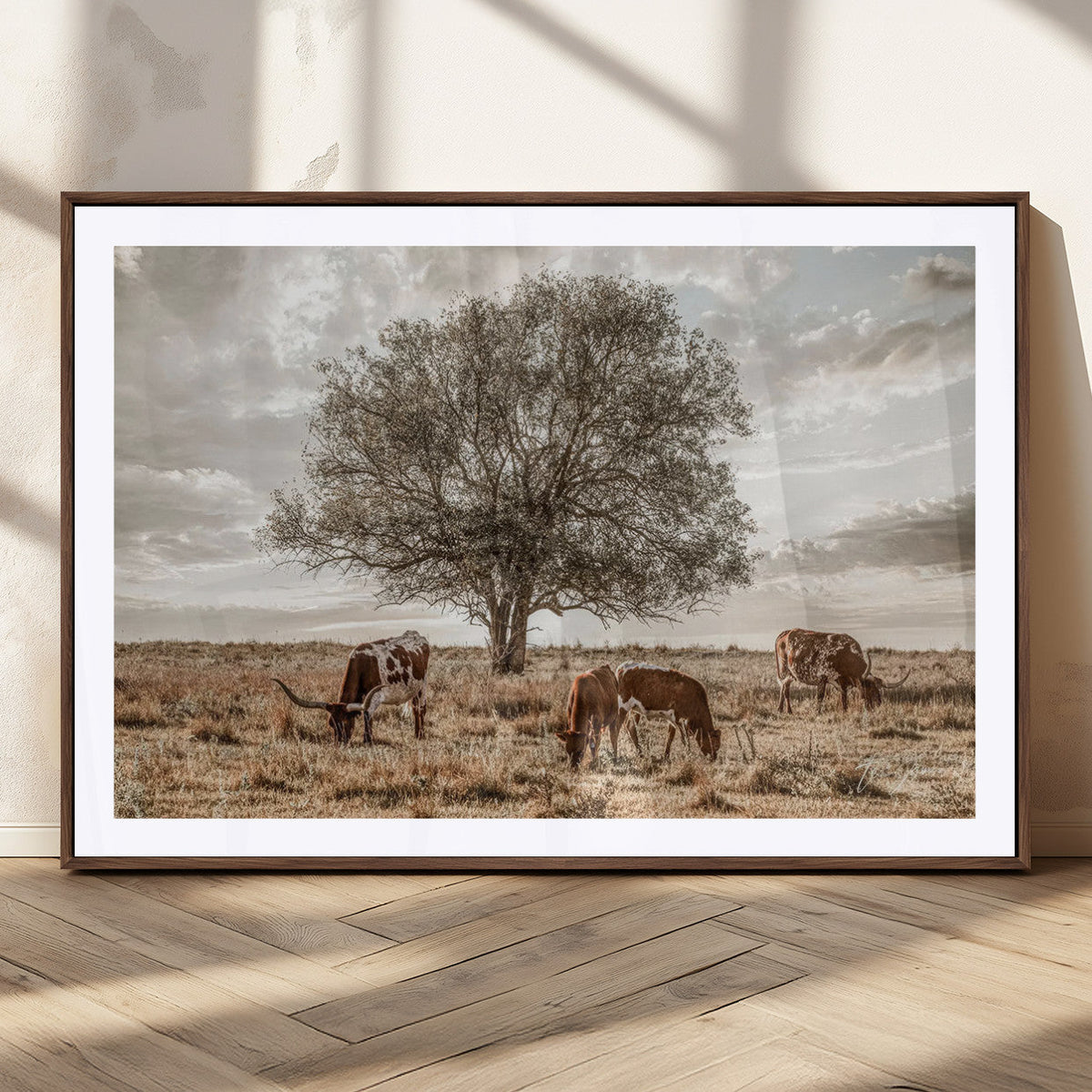 Texas Longhorn Cattle Wall Art, Rustic Western Ranch Canvas