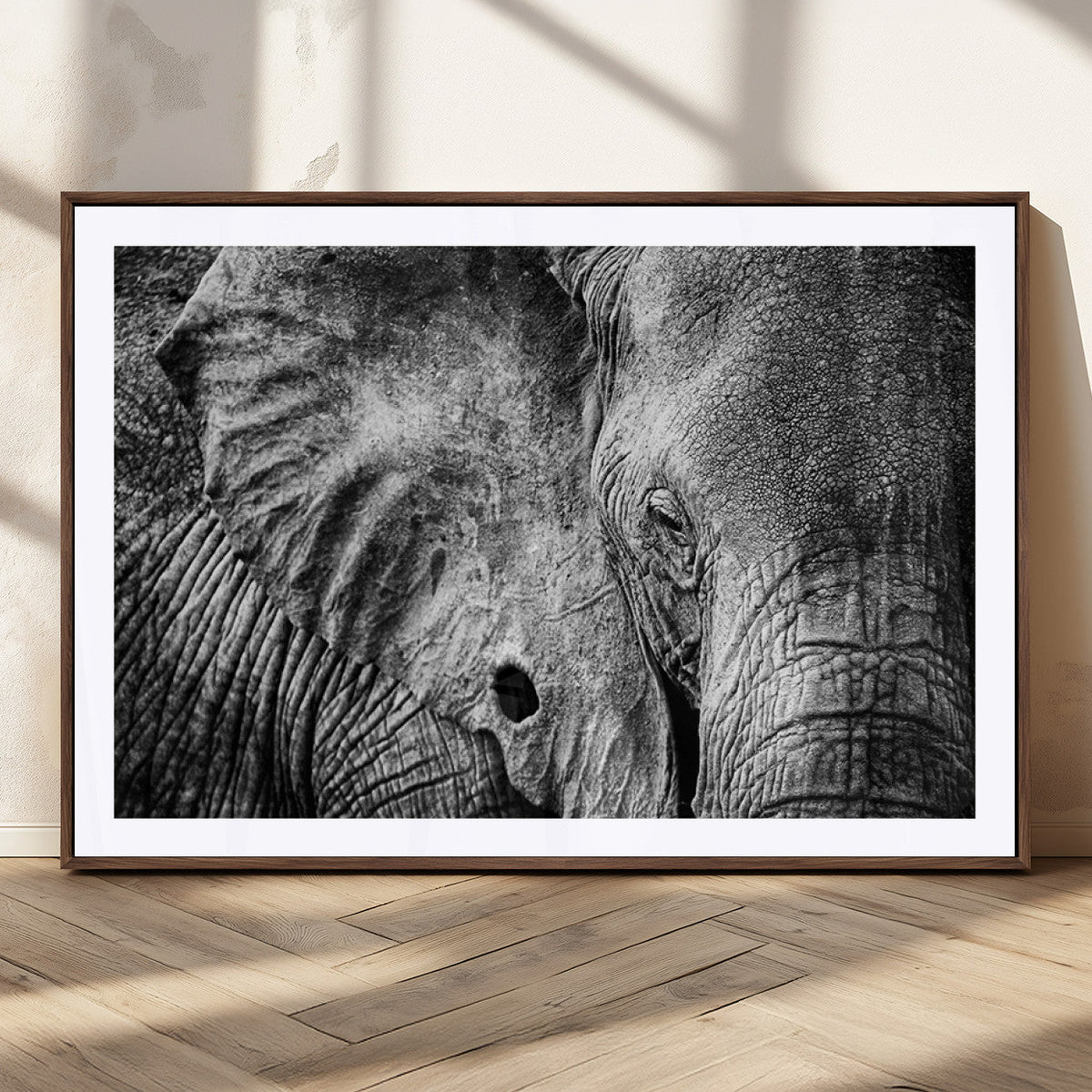 Wild Old Elephant Wall Art Canvas Print
