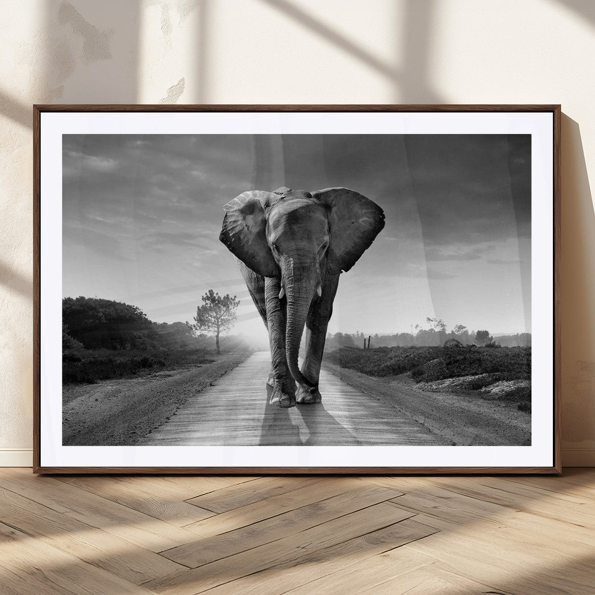 Black and White Elephant Wall Art Canvas Print