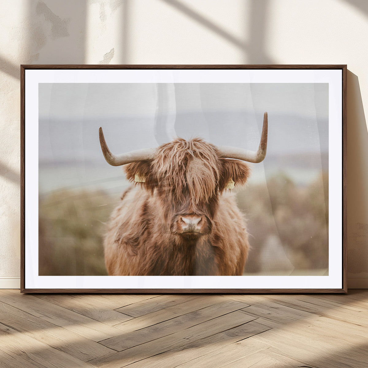 Scottish Serene Highland Cow Canvas Wall Art – Serene