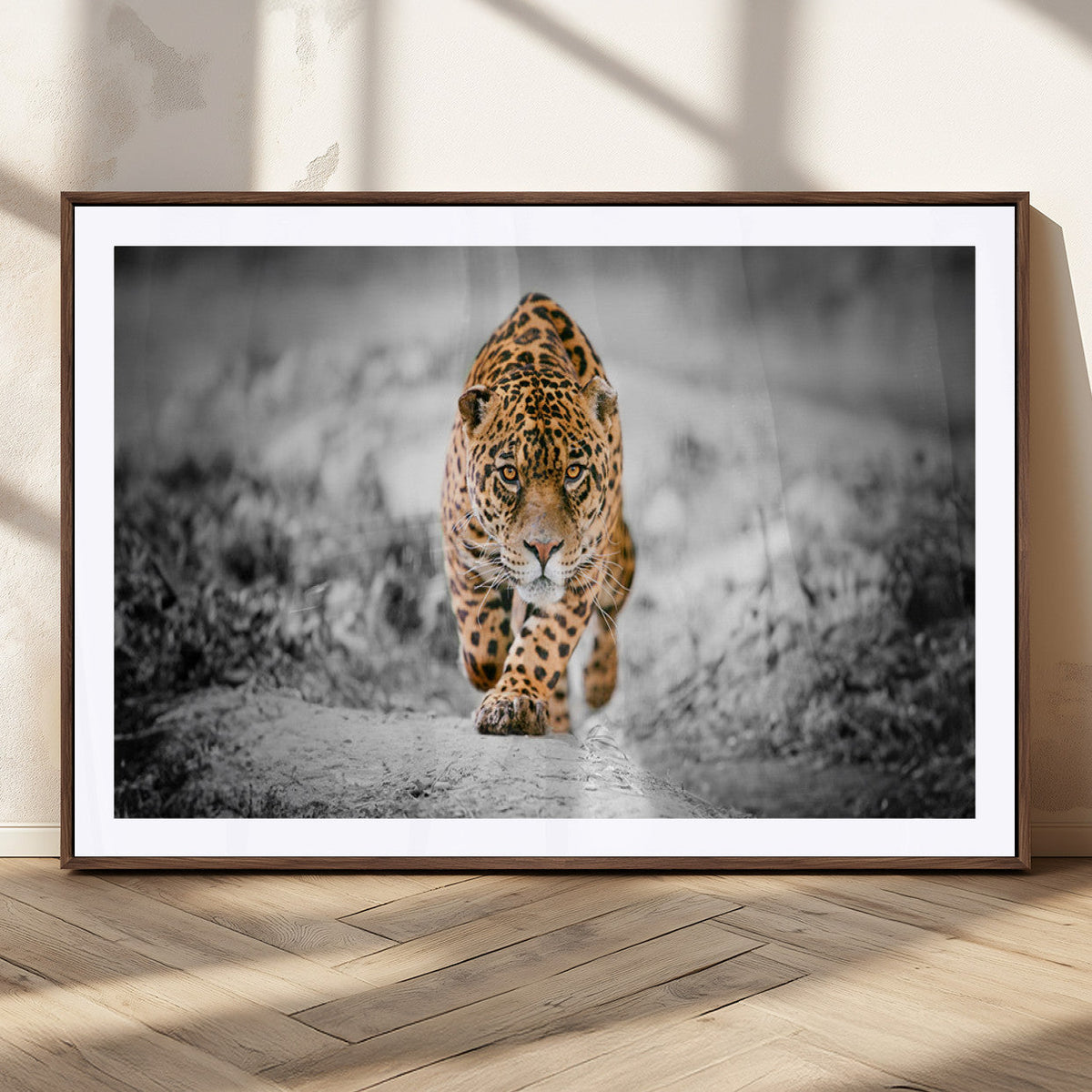 Jaguar Wall Art Canvas Print - Majestic Big Cat in Focused
