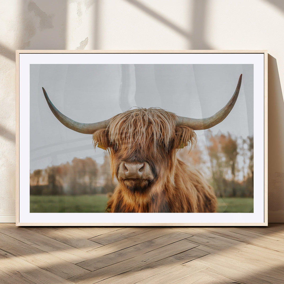 Highland Cow Animal Scottish Cattle Art Print Farmhouse Wall