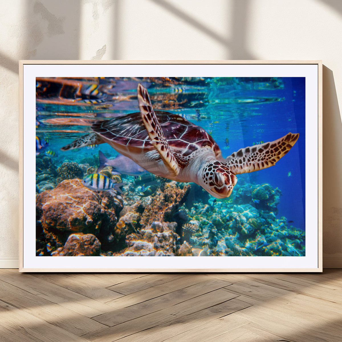 Underwater Coral Reef Sea Turtle Wall Art Canvas Print,
