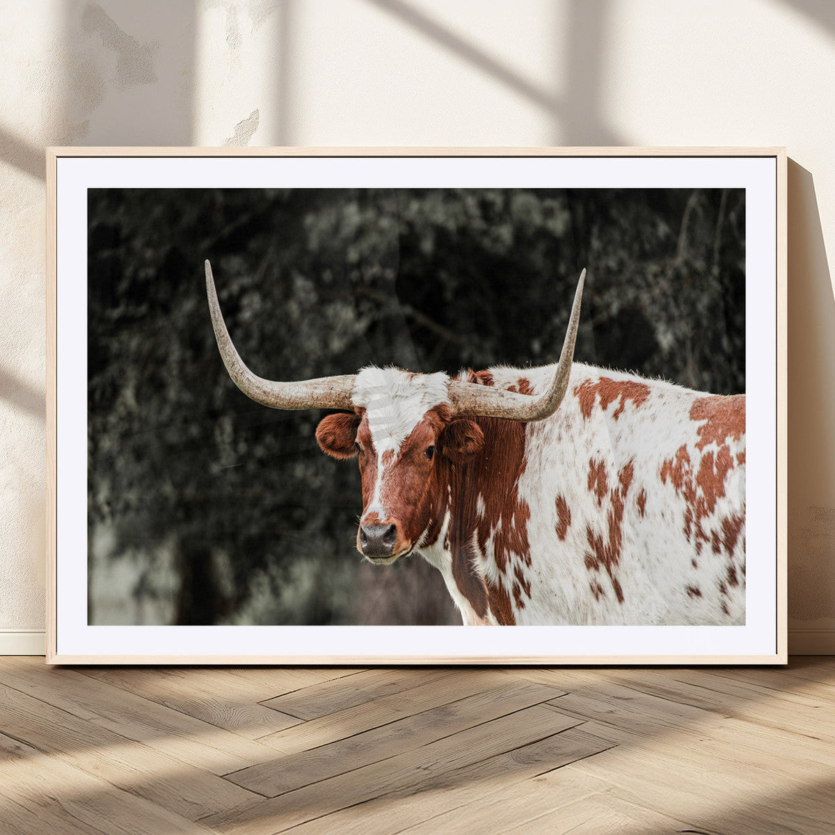 Texas Longhorn Wall Art Canvas Print – Framed Spotted Bull