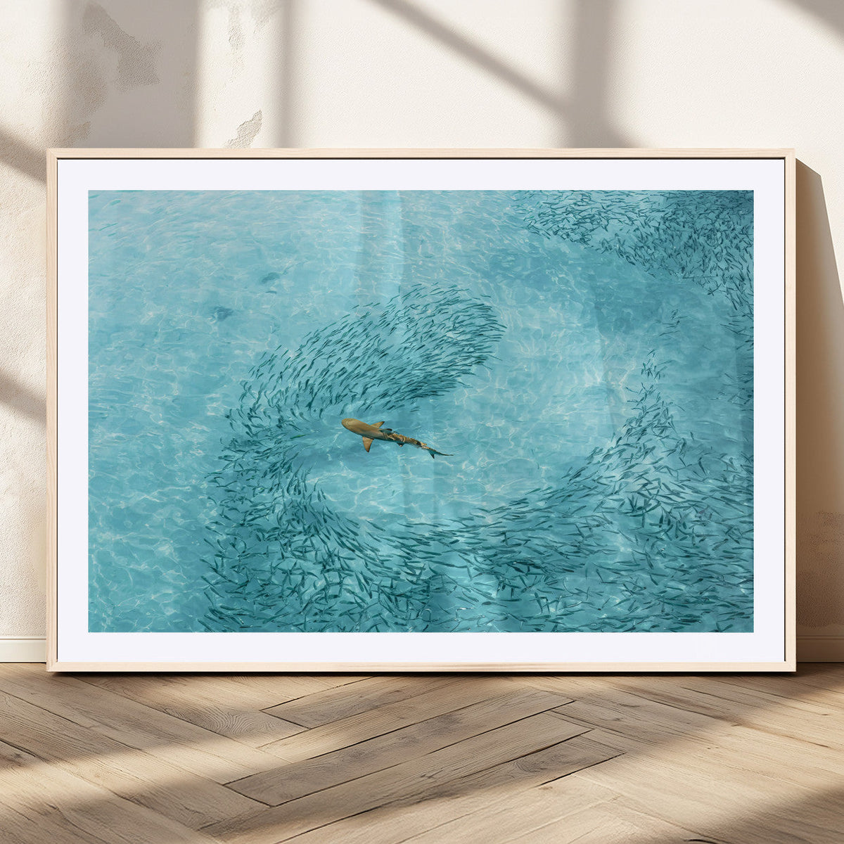 Fish Swarm Wall Art Canvas Print – Framed Marine Life Art