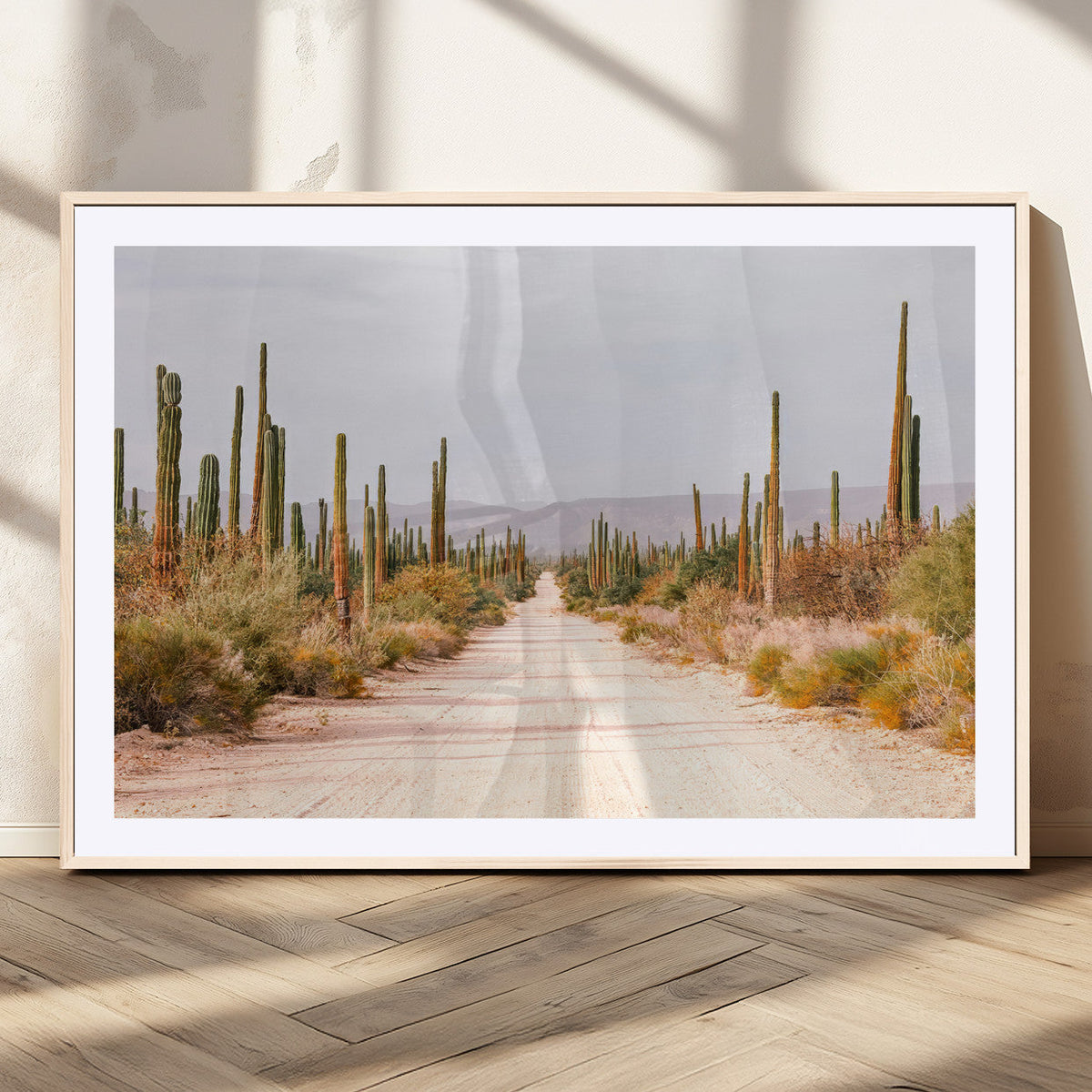 Desert Cactus Lined Road Wall Art Canvas Print – Framed