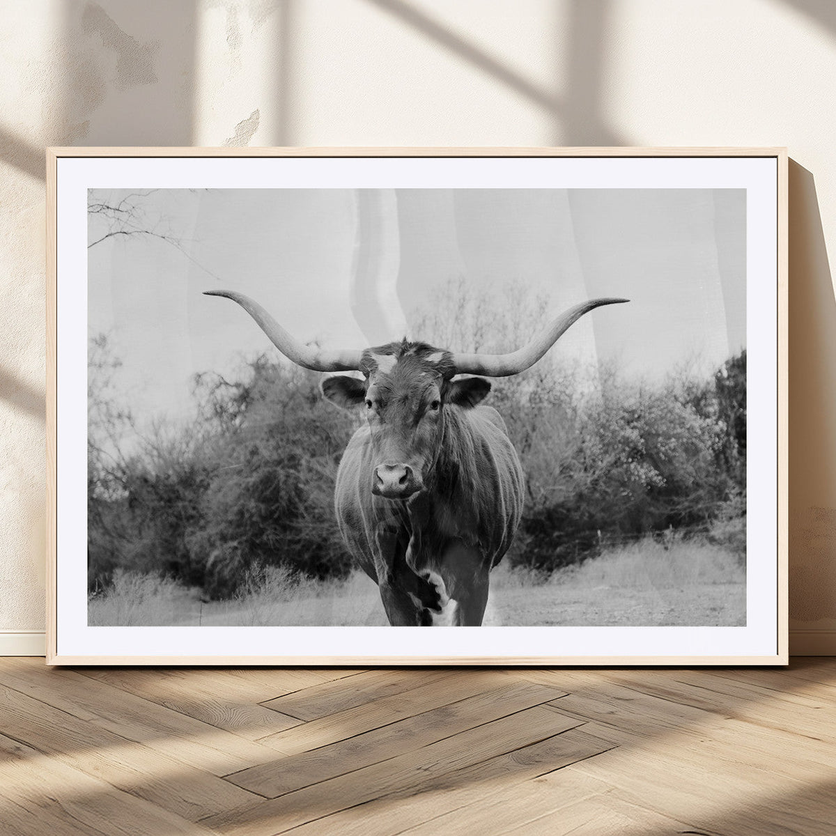 Longhorn Photography Wall Art Canvas Print – Framed Western