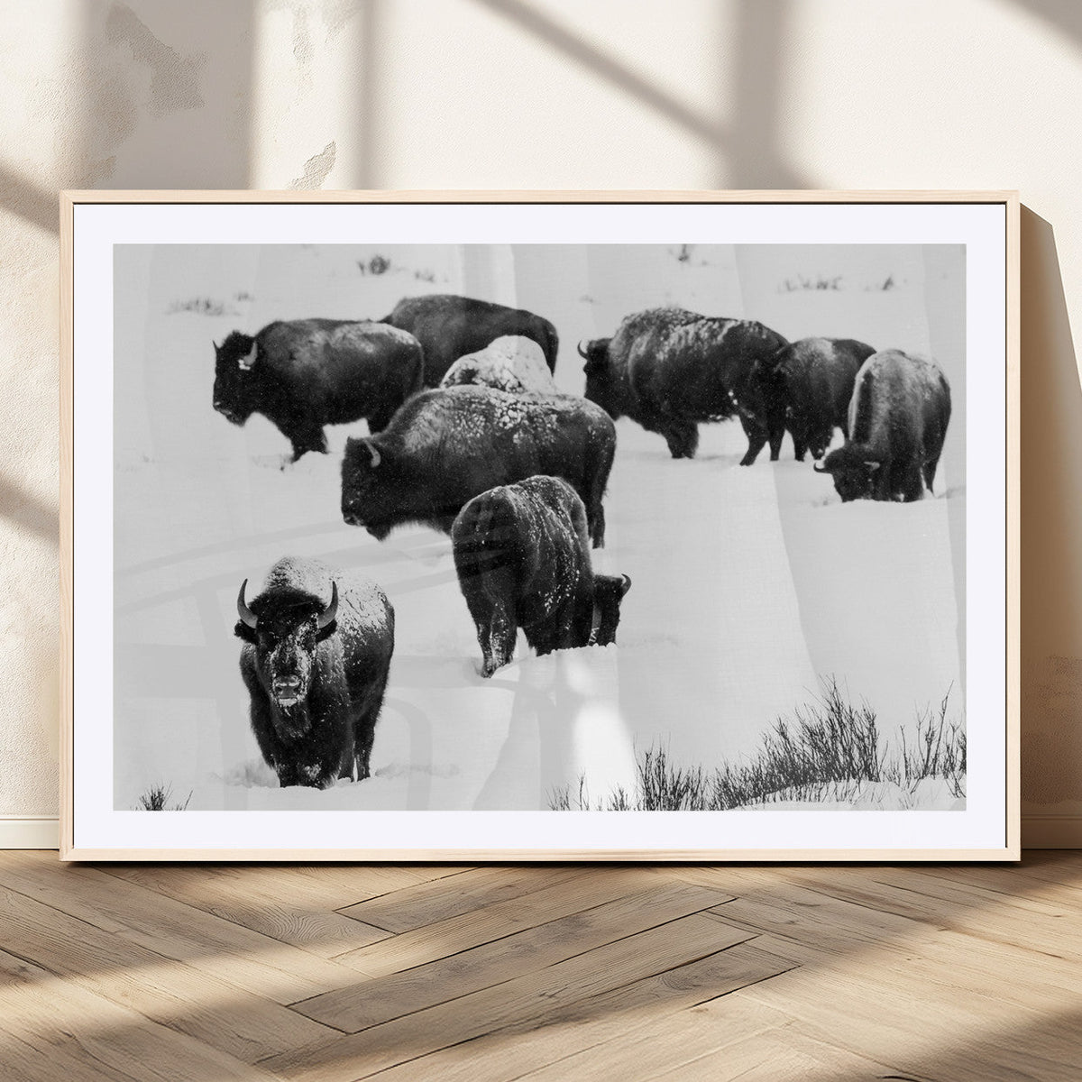 Buffalo Herd Wall Art Canvas Print – Framed Black and White