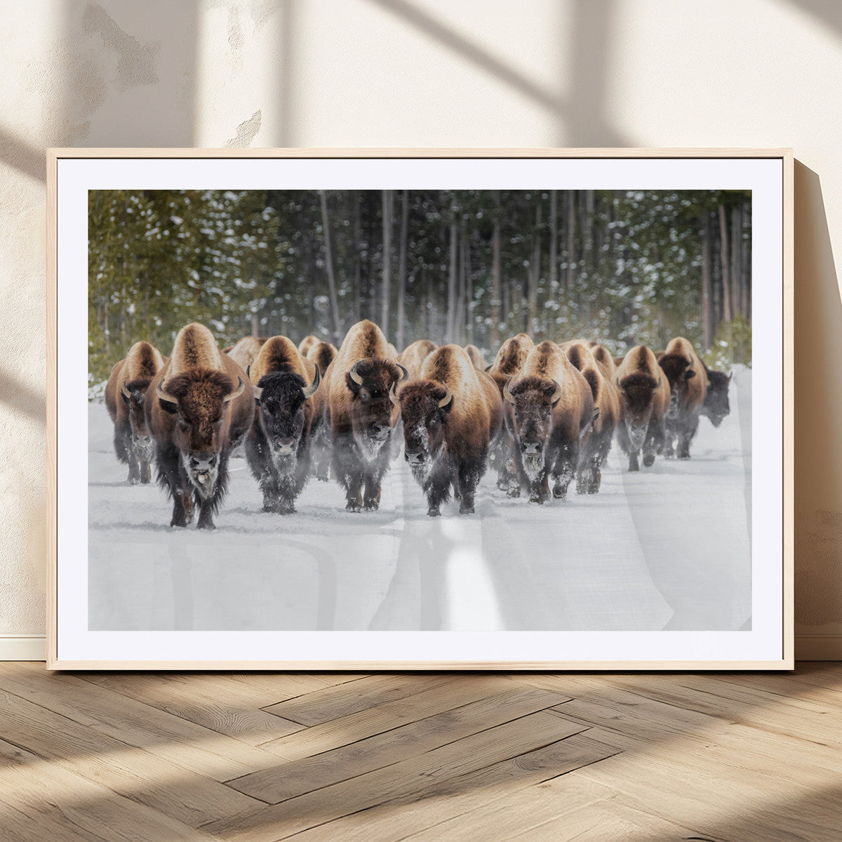 American Bison Herd Wall Art Canvas Print – Powerful Winter