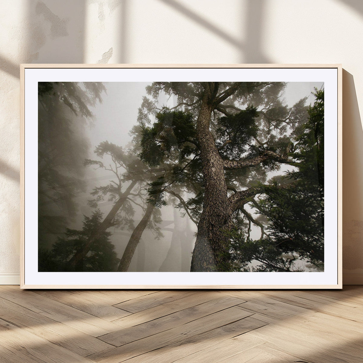 Misty Forest Wall Art Canvas Print, Tall Trees and Foggy