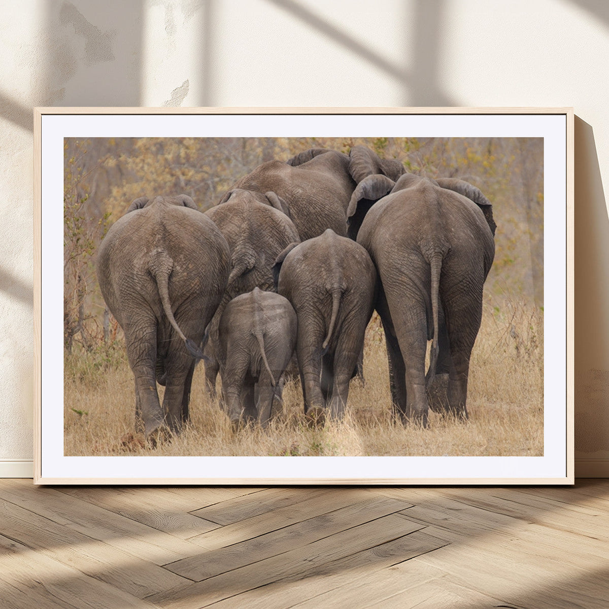 Wild Elephant Wall Art Canvas Print