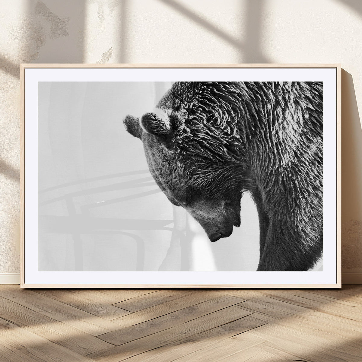 Black and White Grizzly 399 Bear Canvas Print Wall Art |