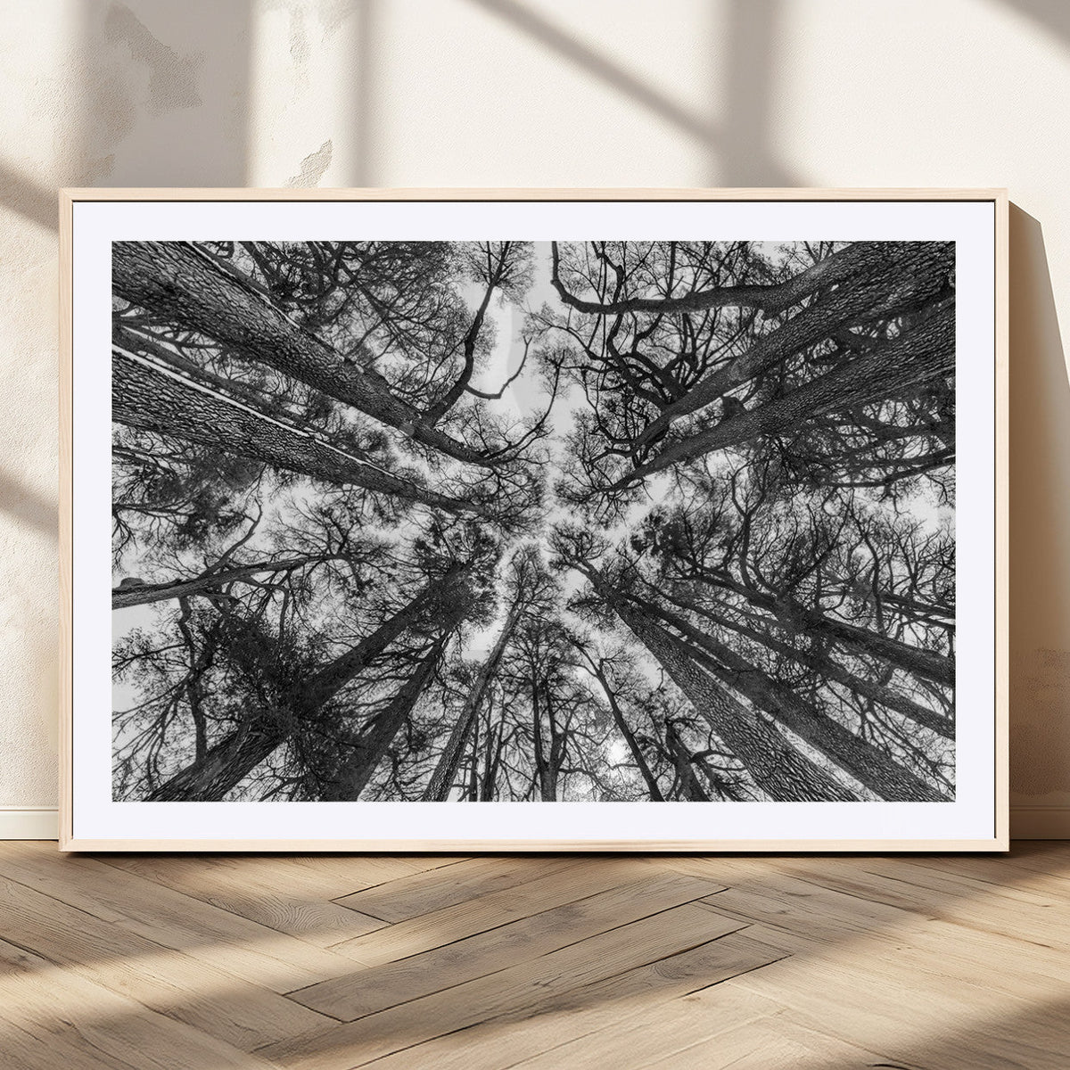 Trees Contemporary Art Canvas Print