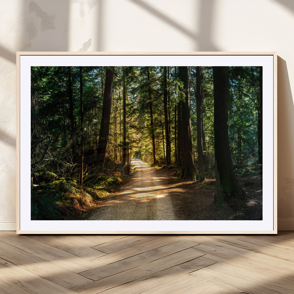 Sunlit Forest Pathway Canvas Print | 3 Panel Large Nature