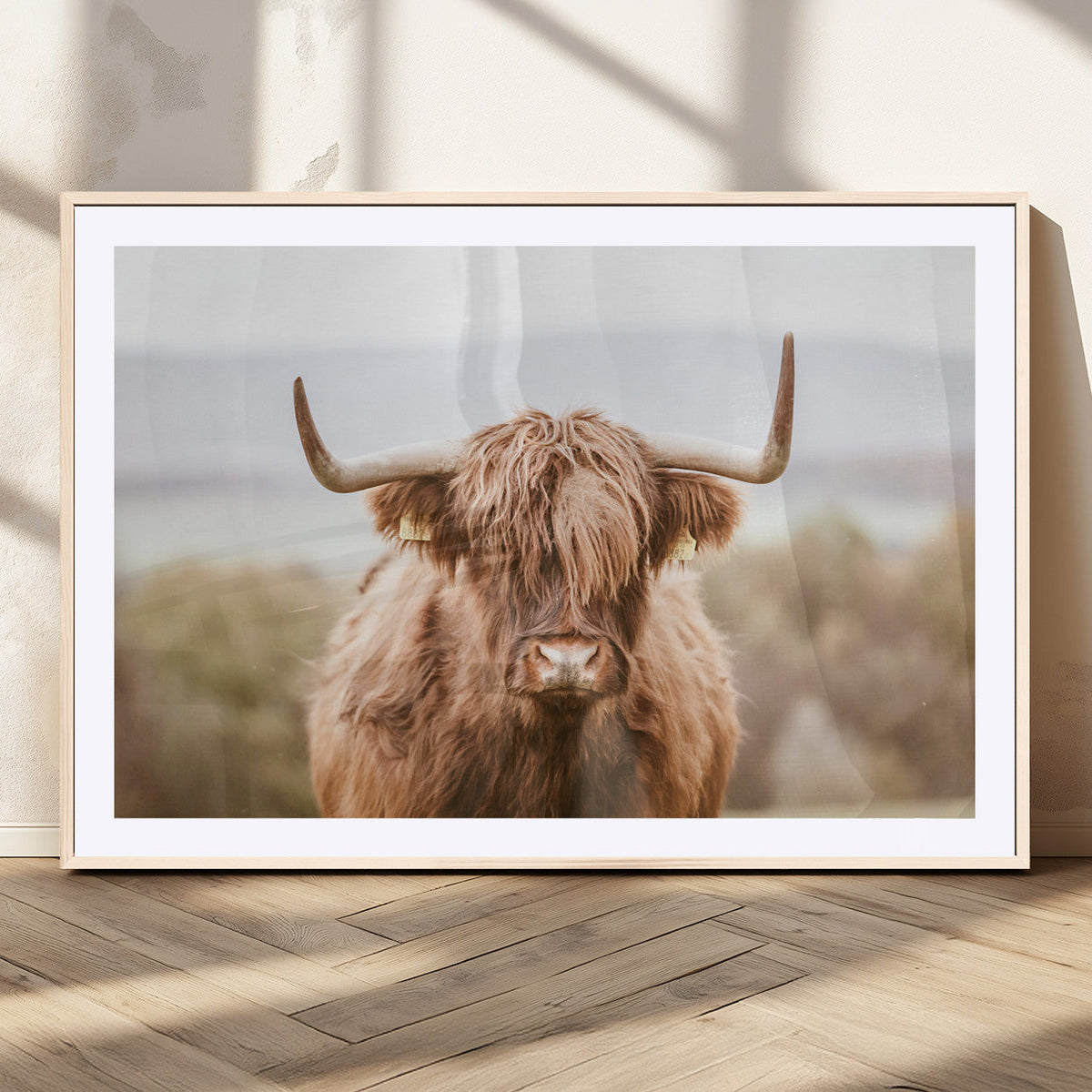 Scottish Serene Highland Cow Canvas Wall Art – Serene
