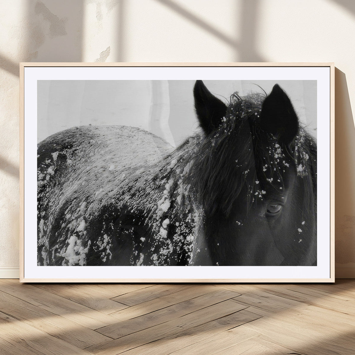 Black Horse in Snow Canvas Print | Winter Horse Wall Art |