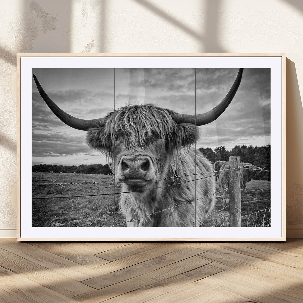 Scottish Highland Cow Wall Art Canvas Print | Ready to Hang