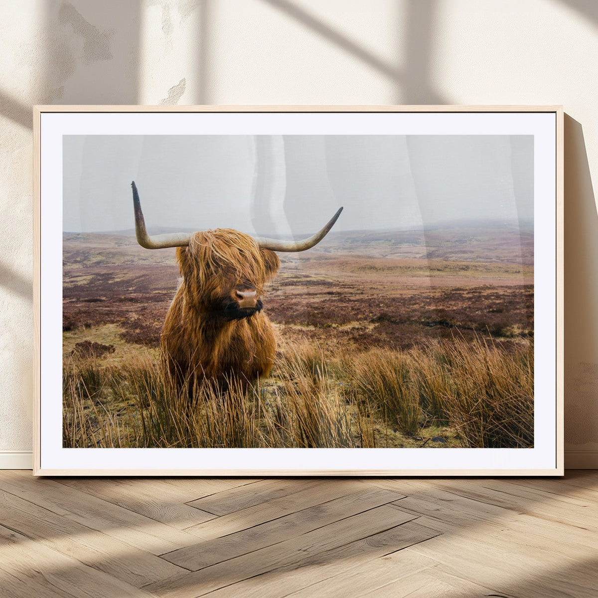 Scottish Highland Cow Canvas Wall Art – Rustic Farmhouse