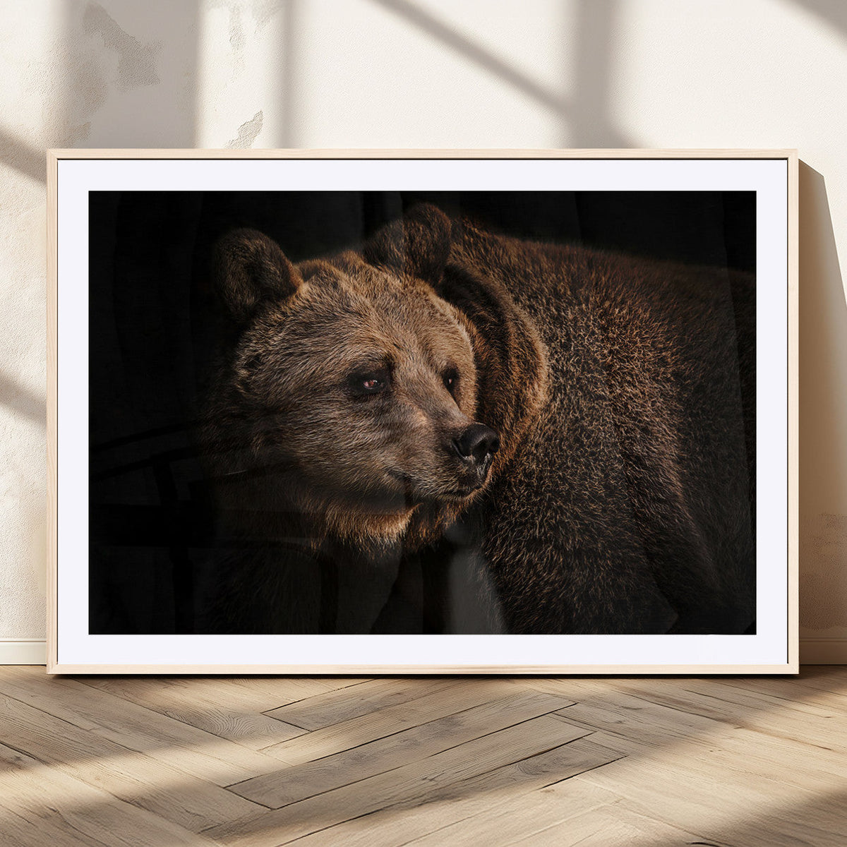 Wild Grizzly 399 Bear Canvas Wall Art Print, Bear Animal