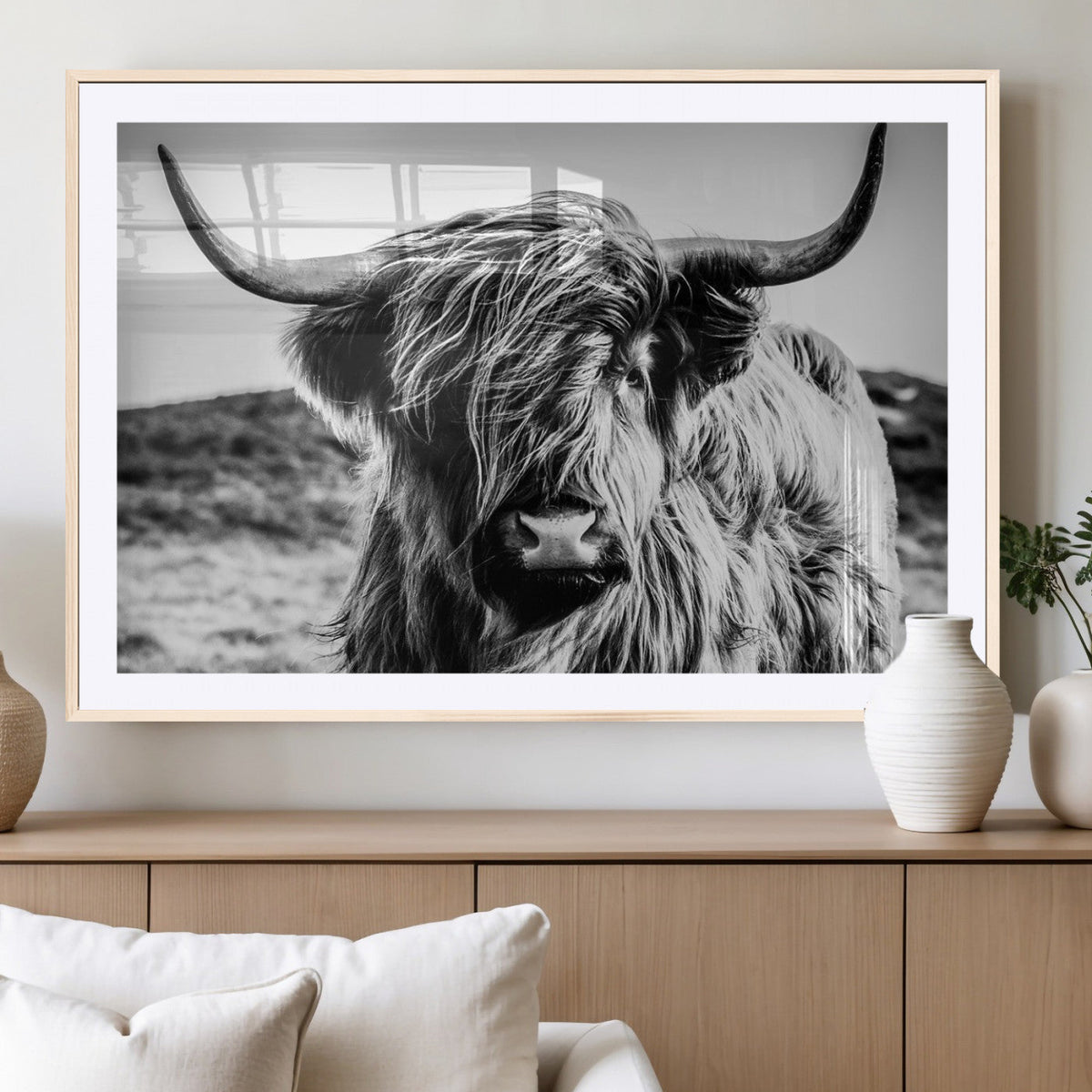 Black and White Scottish Cow Canvas Wall Art Highland Cattle