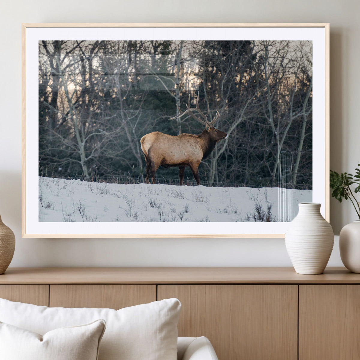 Wild Elk Wall Art Canvas Print – Framed Winter Wildlife