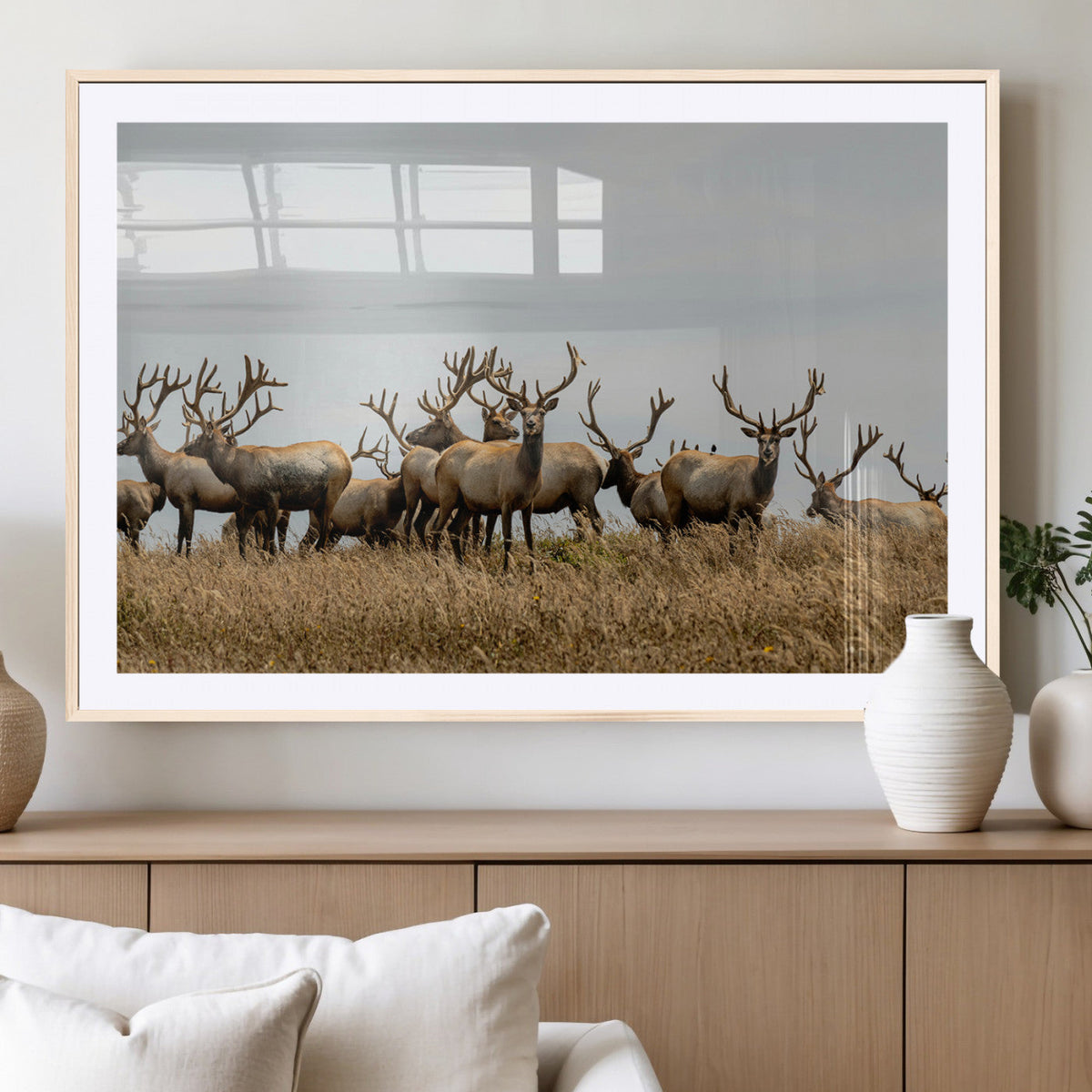 Elk Herd Wall Art Canvas Print – Framed Wildlife Photography