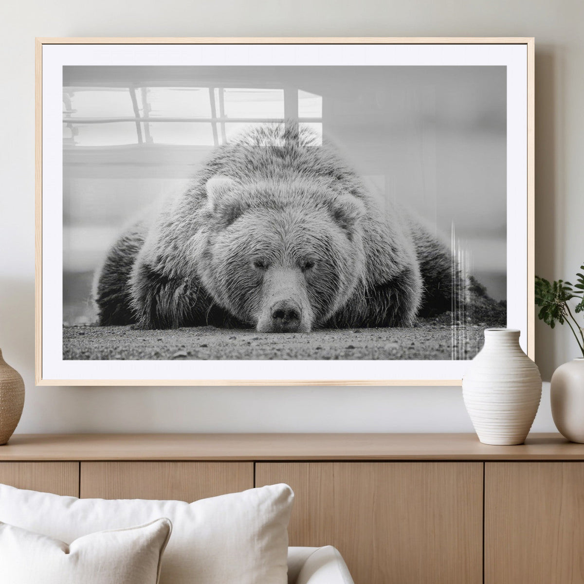 Resting Grizzly Bear Wall Art Canvas Print – Majestic Lazy
