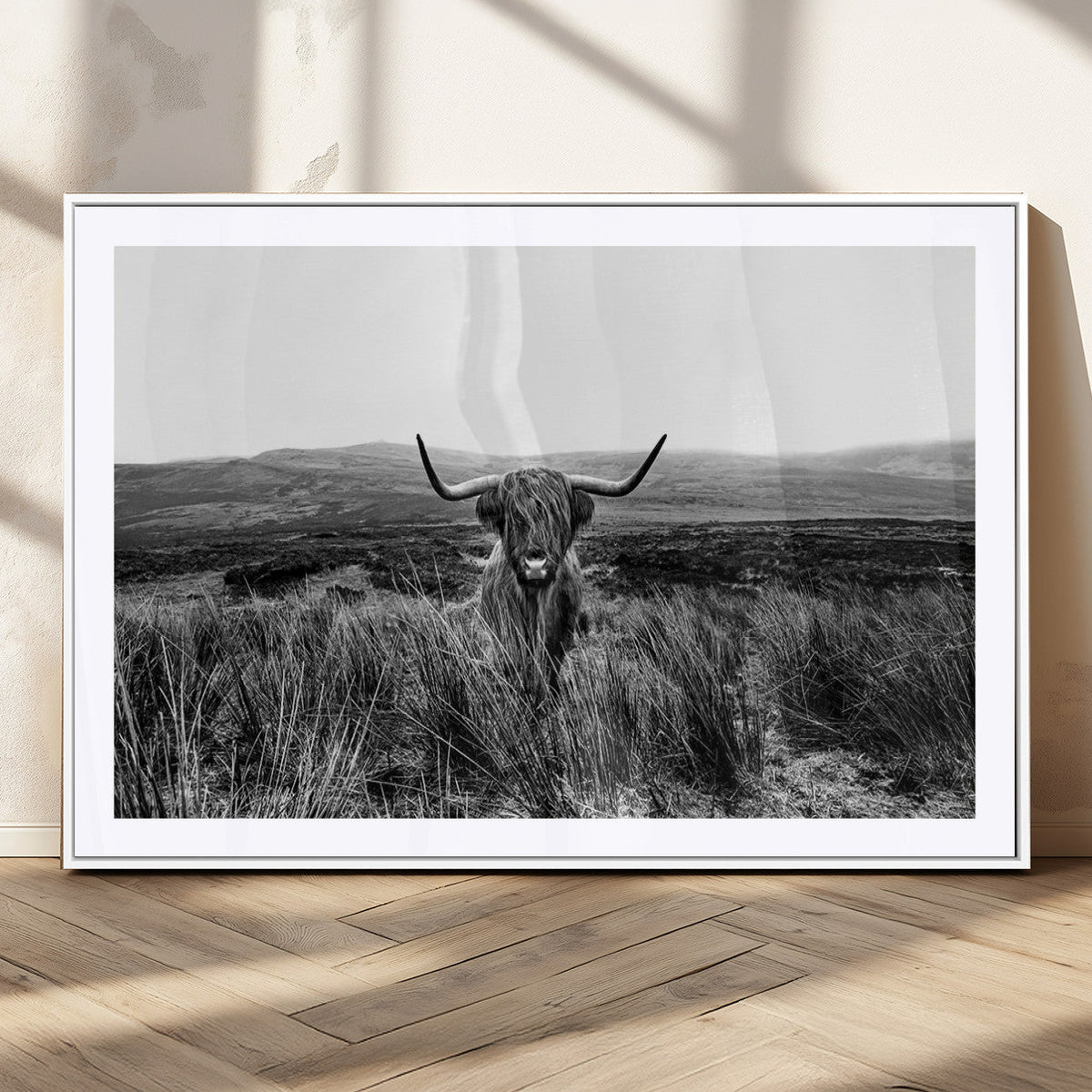 Black and White Highland Cow Canvas Wall Art, Longhorn