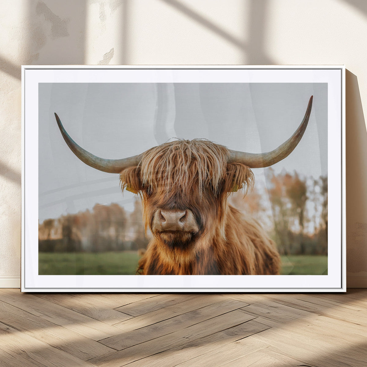Highland Cow Animal Scottish Cattle Art Print Farmhouse Wall