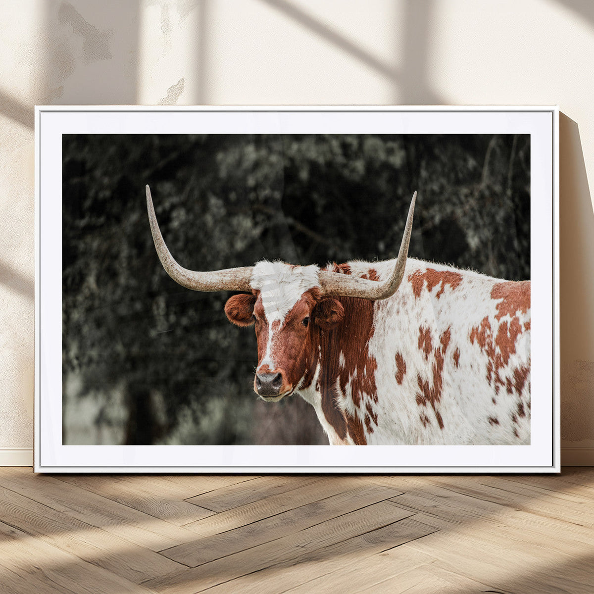 Texas Longhorn Wall Art Canvas Print – Framed Spotted Bull