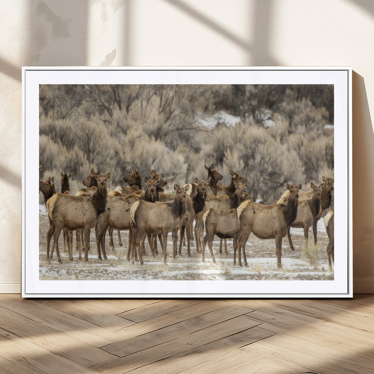 Majestic Elk Herd Winter Canvas, Elk Herd Winter Landscape
