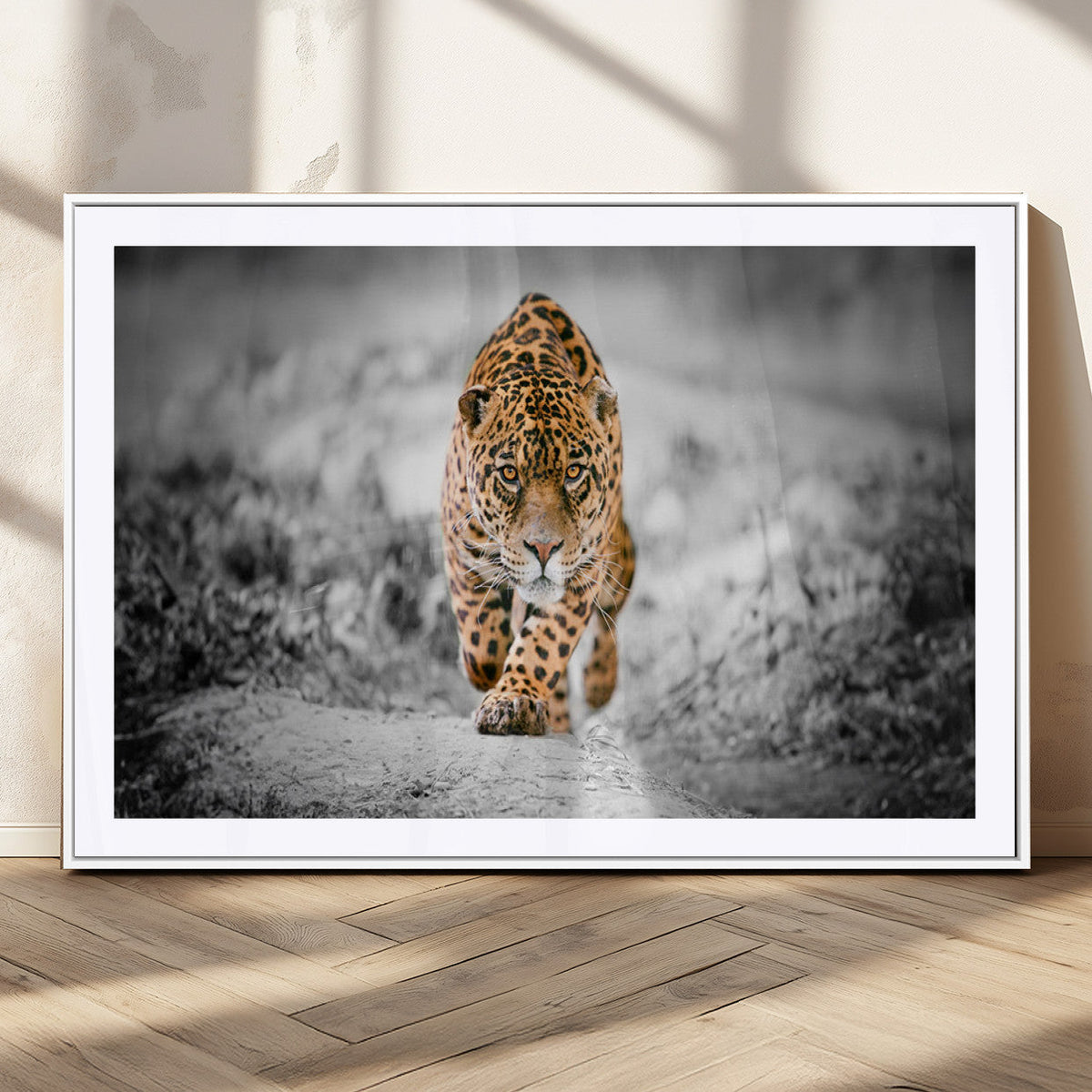 Jaguar Wall Art Canvas Print - Majestic Big Cat in Focused