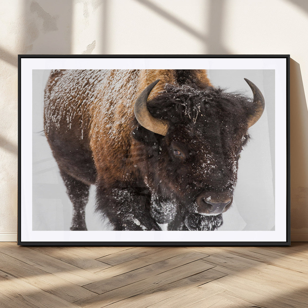 Bison Wall Art Canvas Print For Farmhouse, Wild Animal Wall