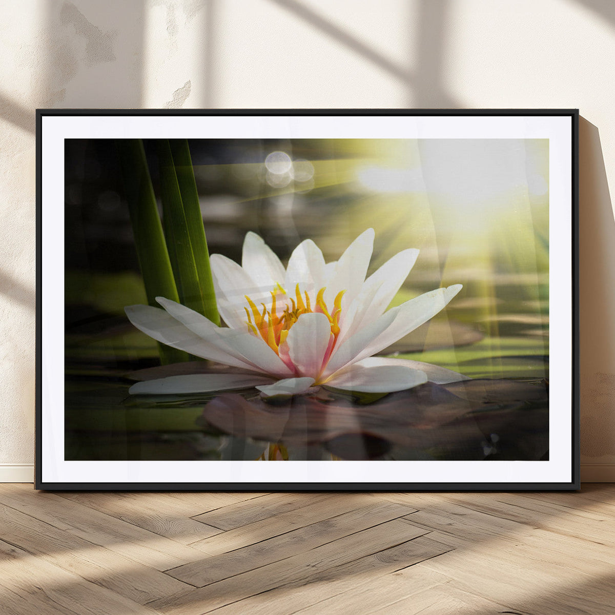 Lotus Flower Wall Art Canvas Print, Water Lily Large Wall