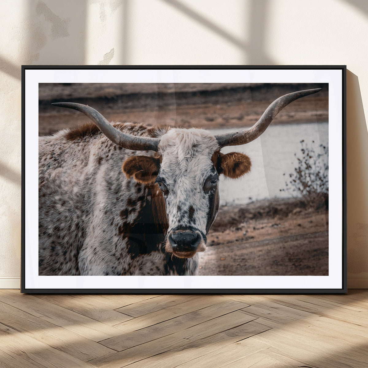 Texas Longhorn Wall Art Canvas Print – Framed Spotted Bull