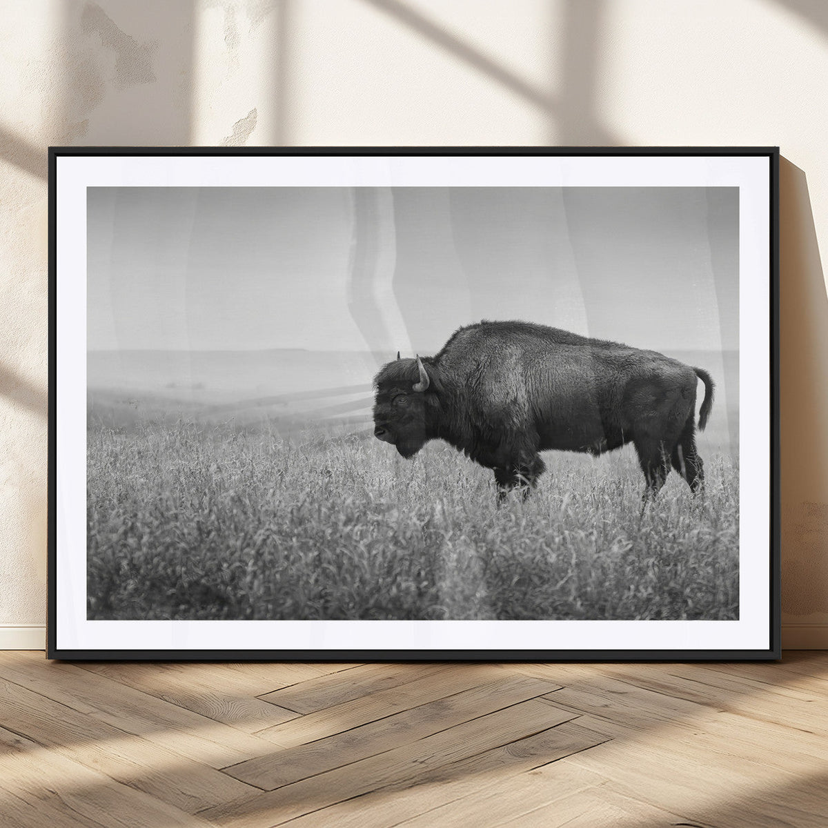 Bison in Prairie Wall Art Canvas Print – Framed Rustic