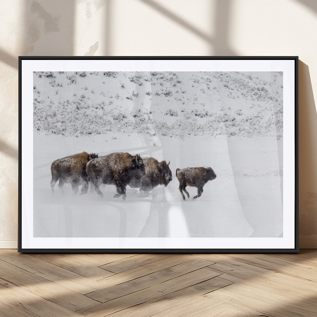 Bison Herd Decor Wall Art Canvas Print – Framed Snowy Bison