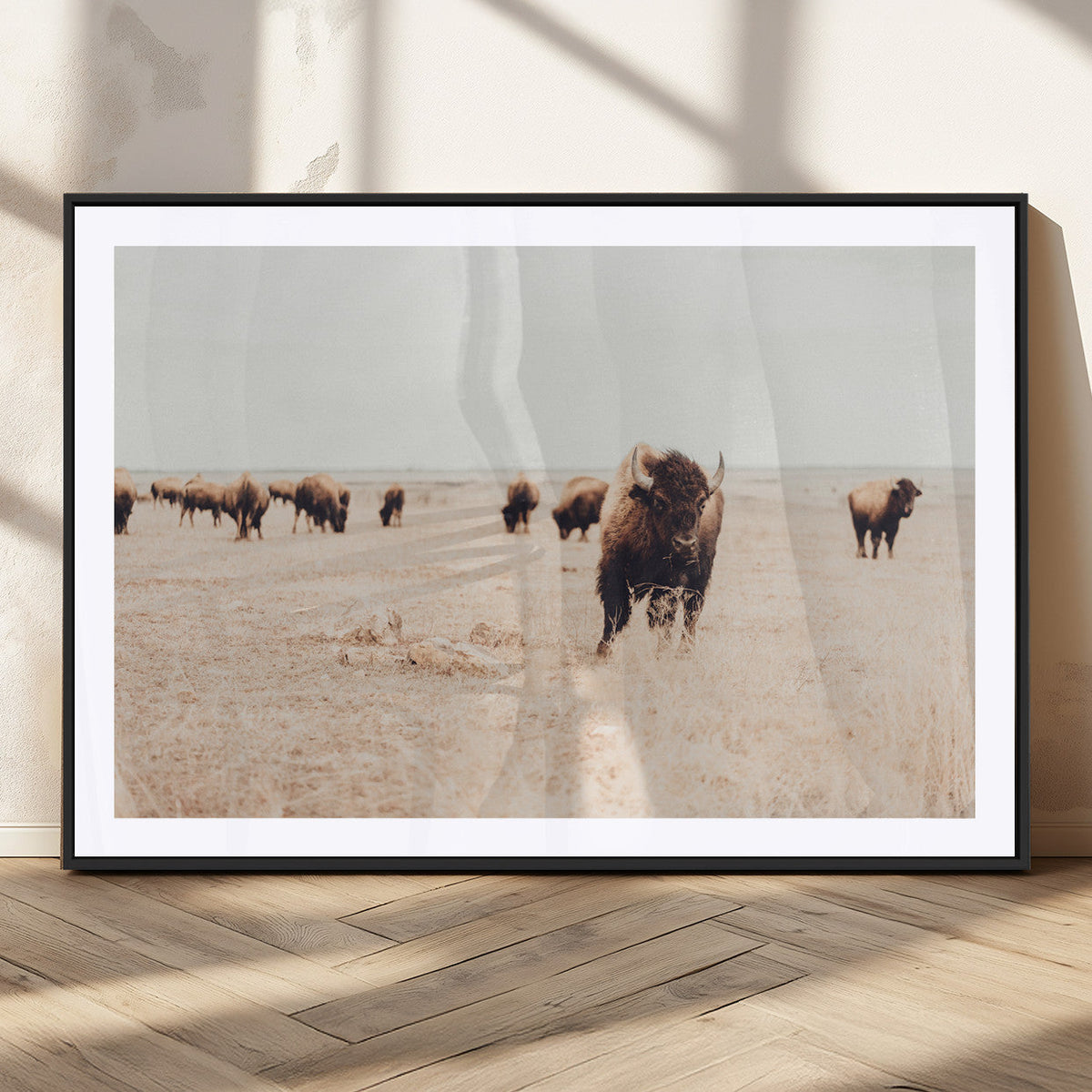 Bison Herd Wall Art Canvas Print, Framed Western Landscape