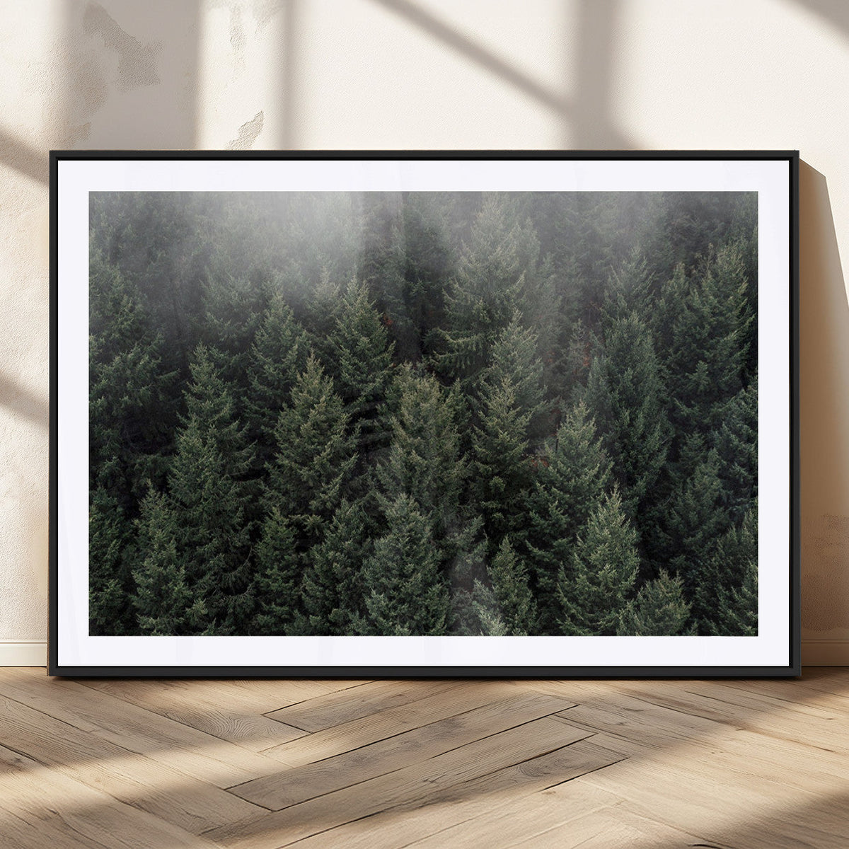 Dense Evergreen Forest Misty Morning Fog Pine Trees Woodland