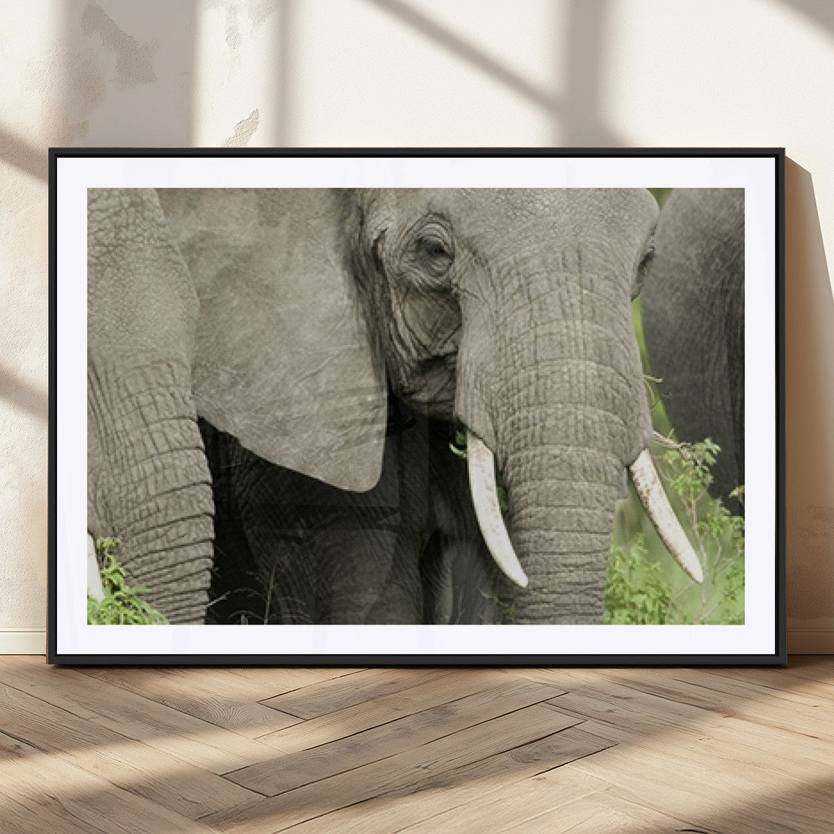 Wild Elephant Wall Art Canvas Print