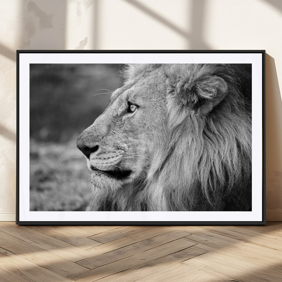 Lion Wall Art Canvas Print – Framed Majestic Wildlife