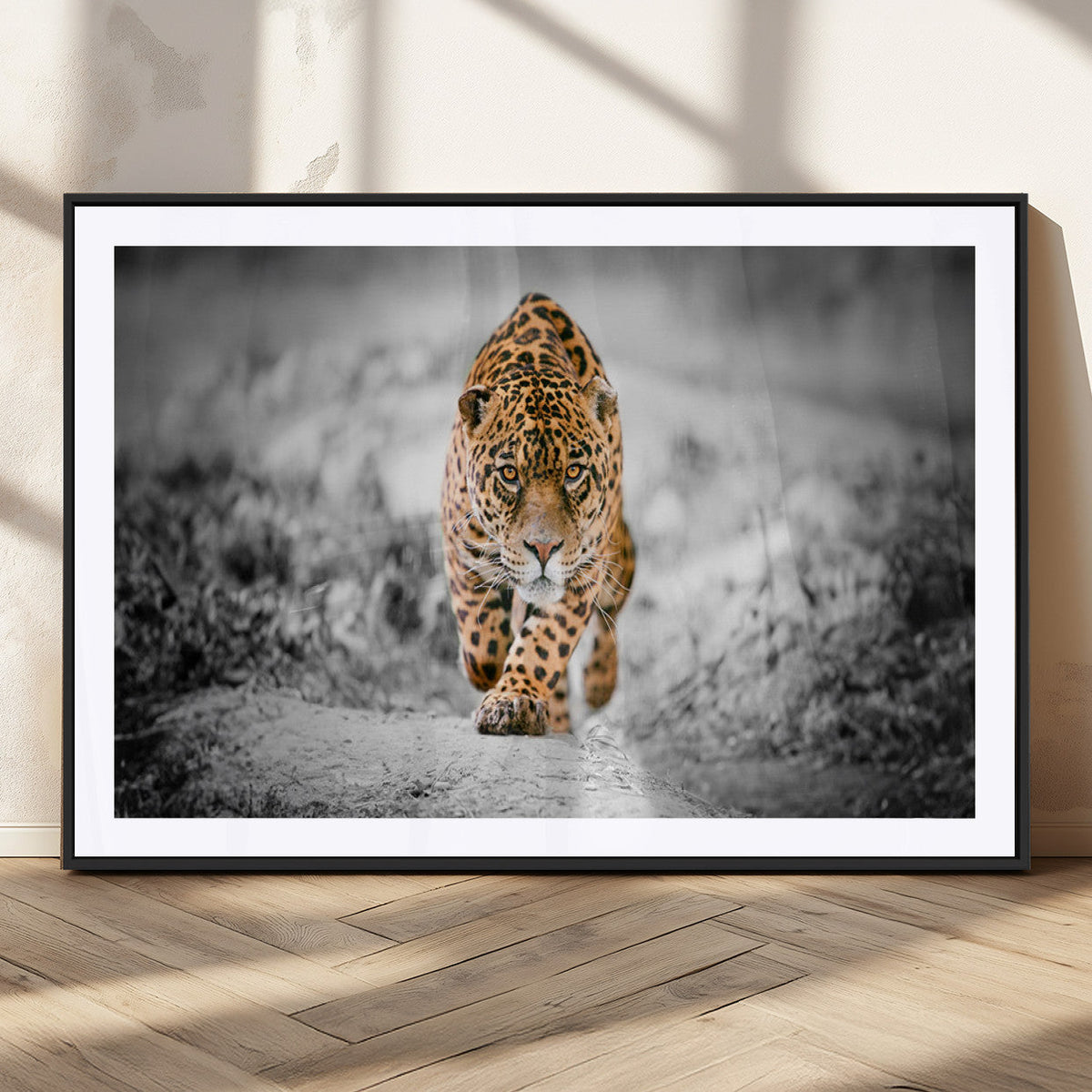 Jaguar Wall Art Canvas Print - Majestic Big Cat in Focused