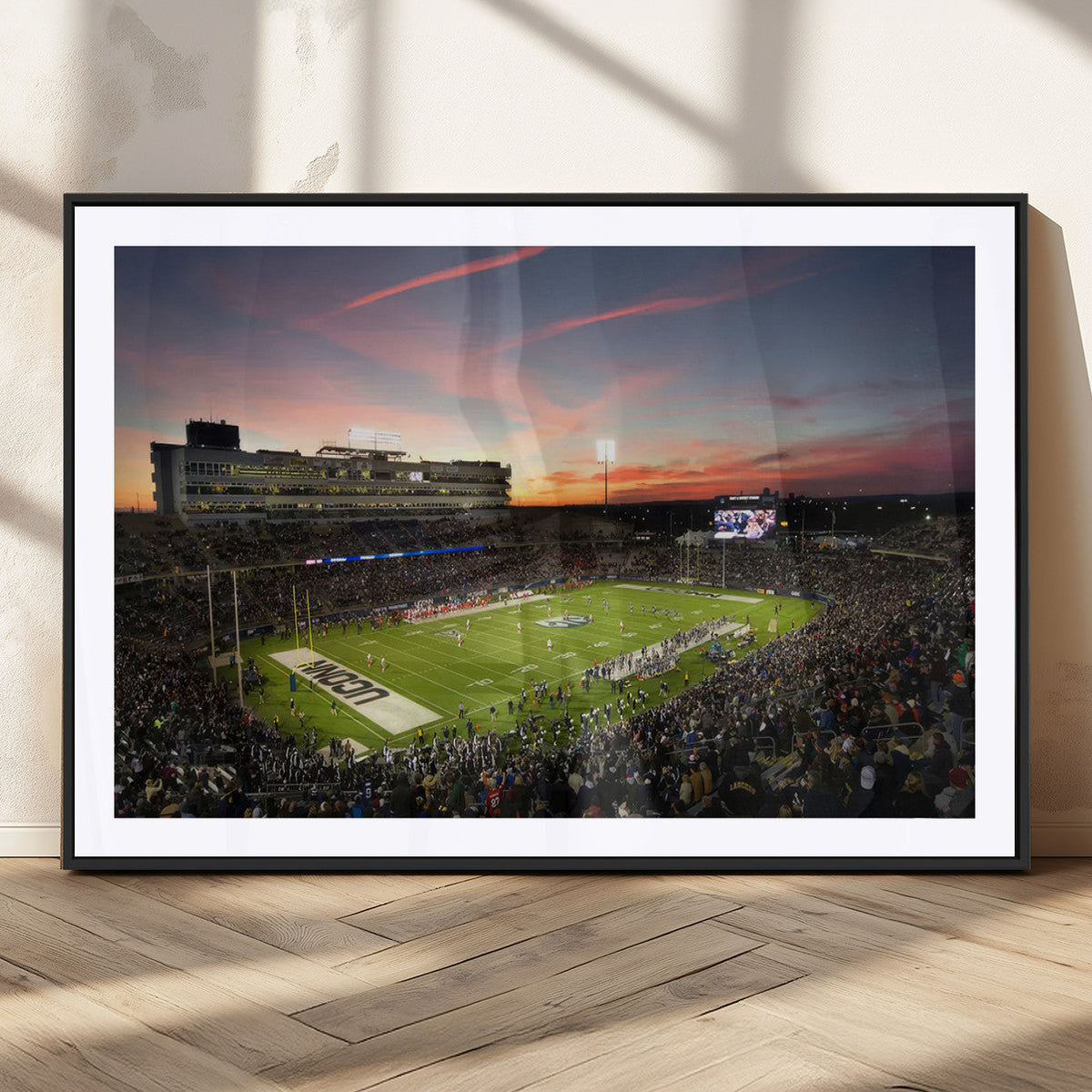 The University of Connecticut UCONN Huskies Football Team