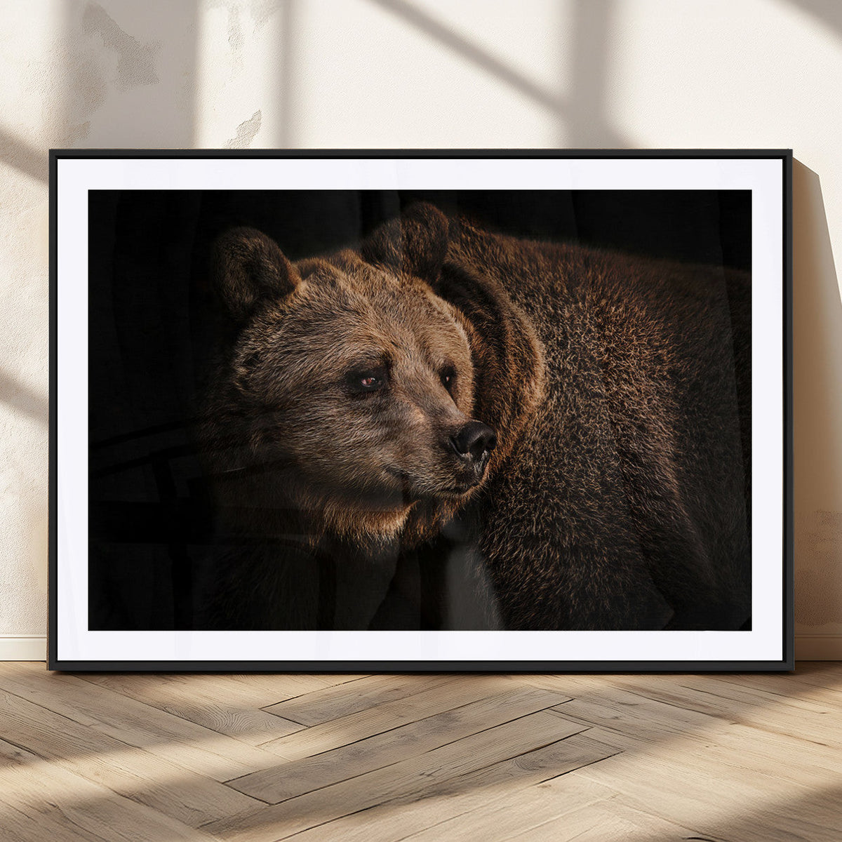 Wild Grizzly 399 Bear Canvas Wall Art Print, Bear Animal