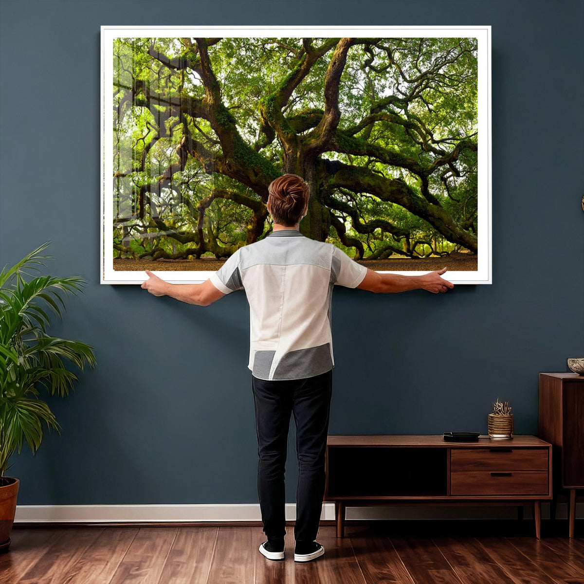 Angel Oak Tree Wall Art Canvas Print | Forest Tree Nature