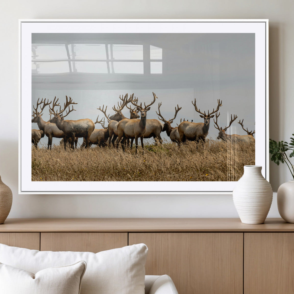 Elk Herd Wall Art Canvas Print – Framed Wildlife Photography