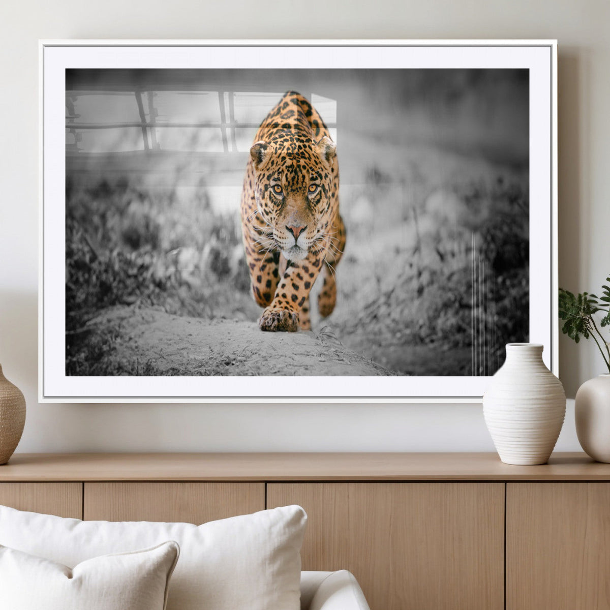 Jaguar Wall Art Canvas Print - Majestic Big Cat in Focused