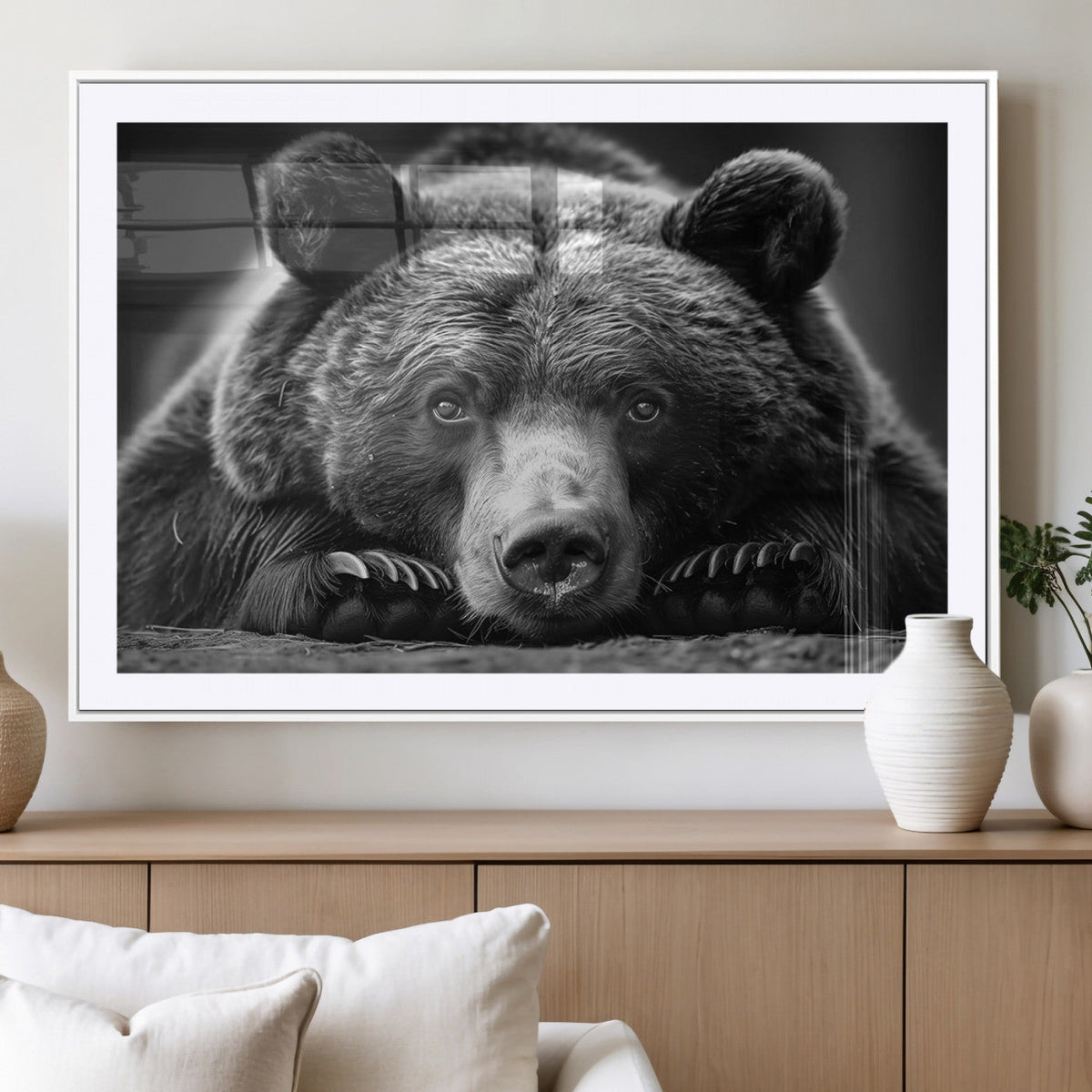 Resting Grizzly 399 Bear Canvas Print | Ready to Hang Wall